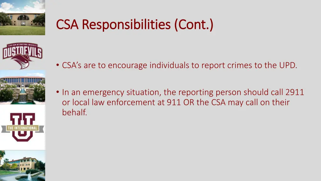 csa responsibilities cont csa responsibilities