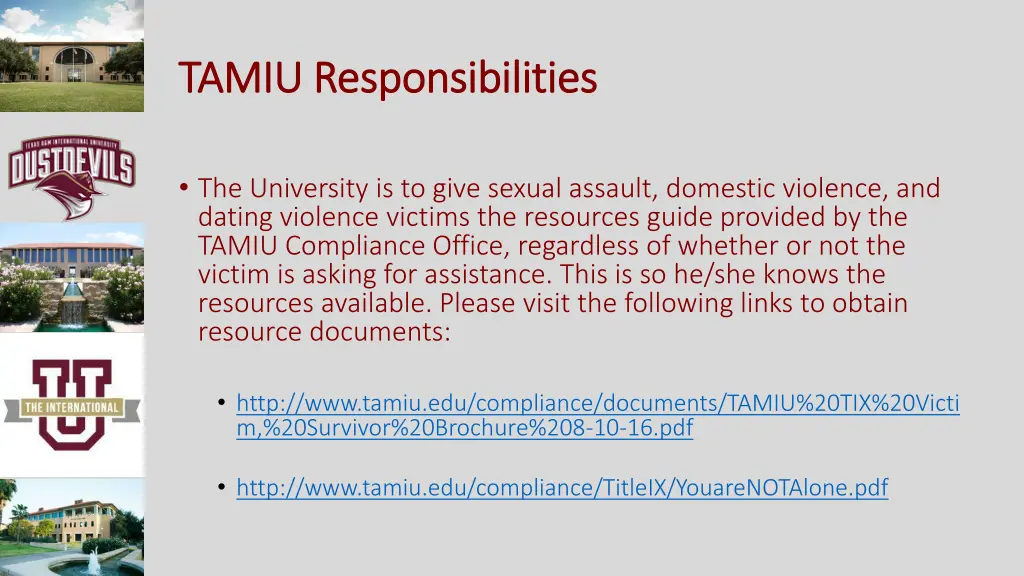 tamiu responsibilities tamiu responsibilities