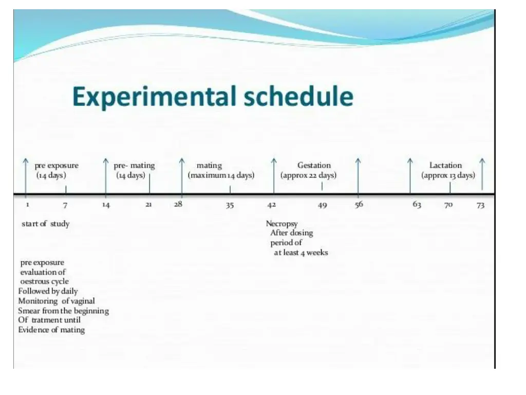 slide11