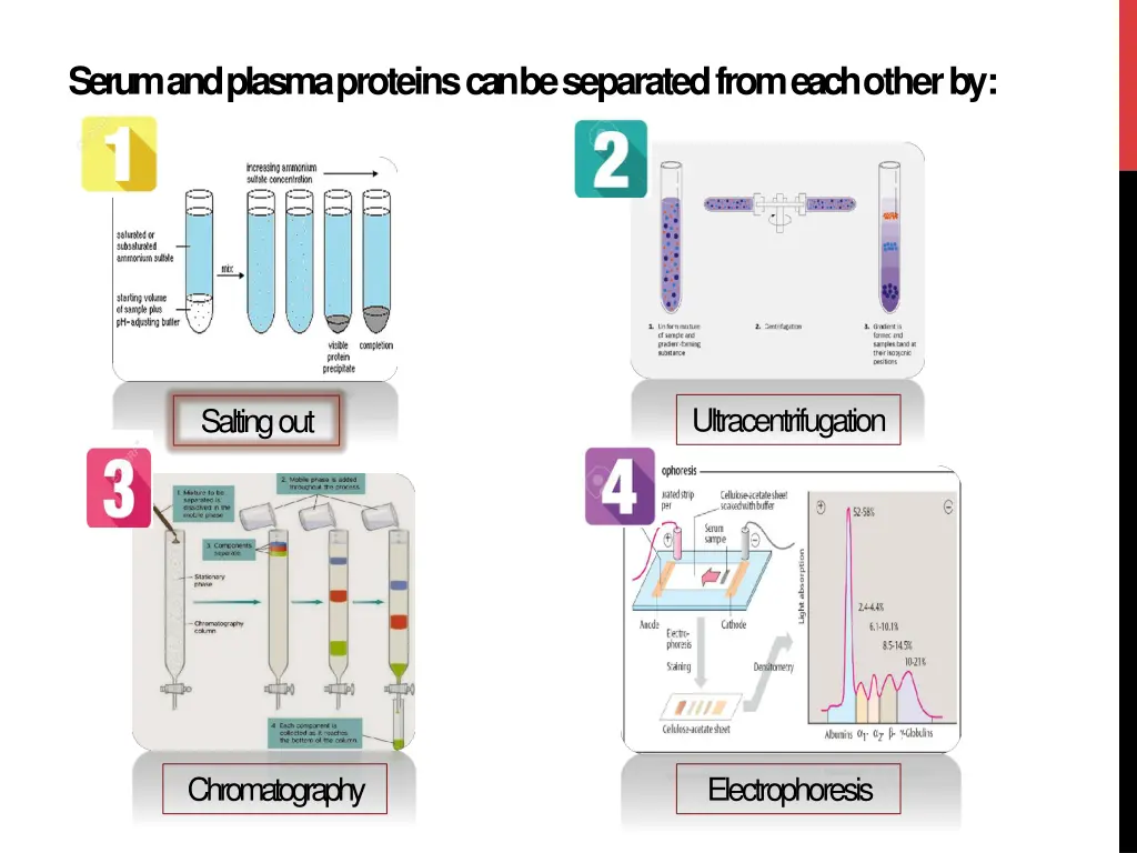 serum and plasma proteins can be separated from