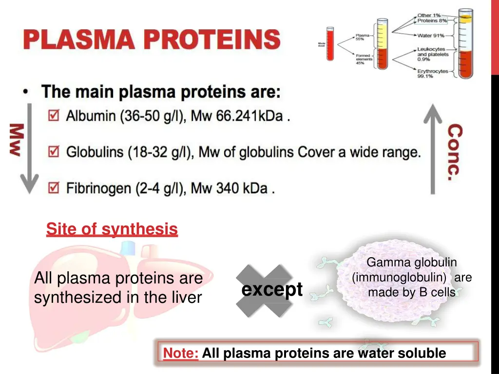 site of synthesis