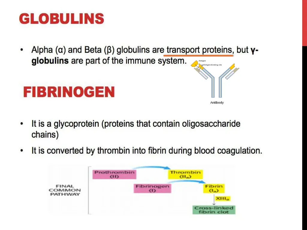 slide7