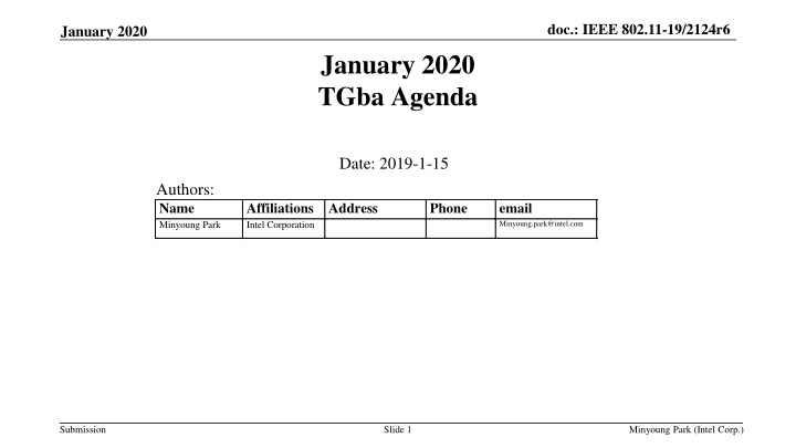 doc ieee 802 11 19 2124r6