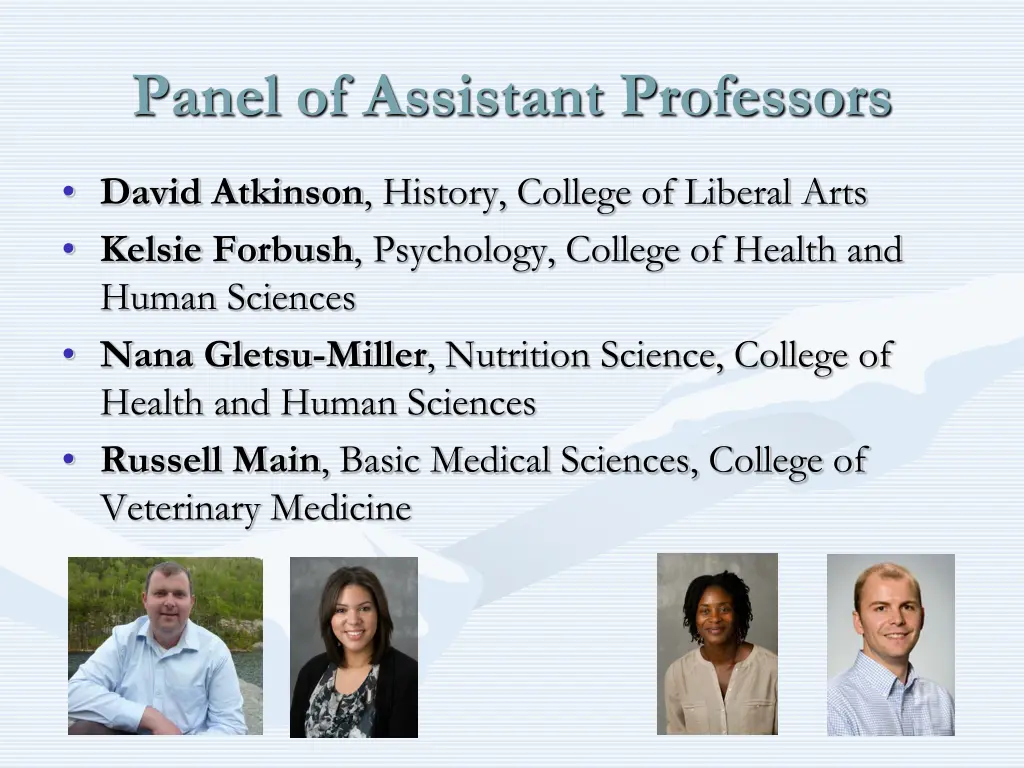 panel of assistant professors