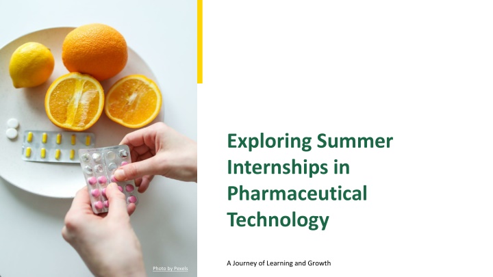 exploring summer internships in pharmaceutical