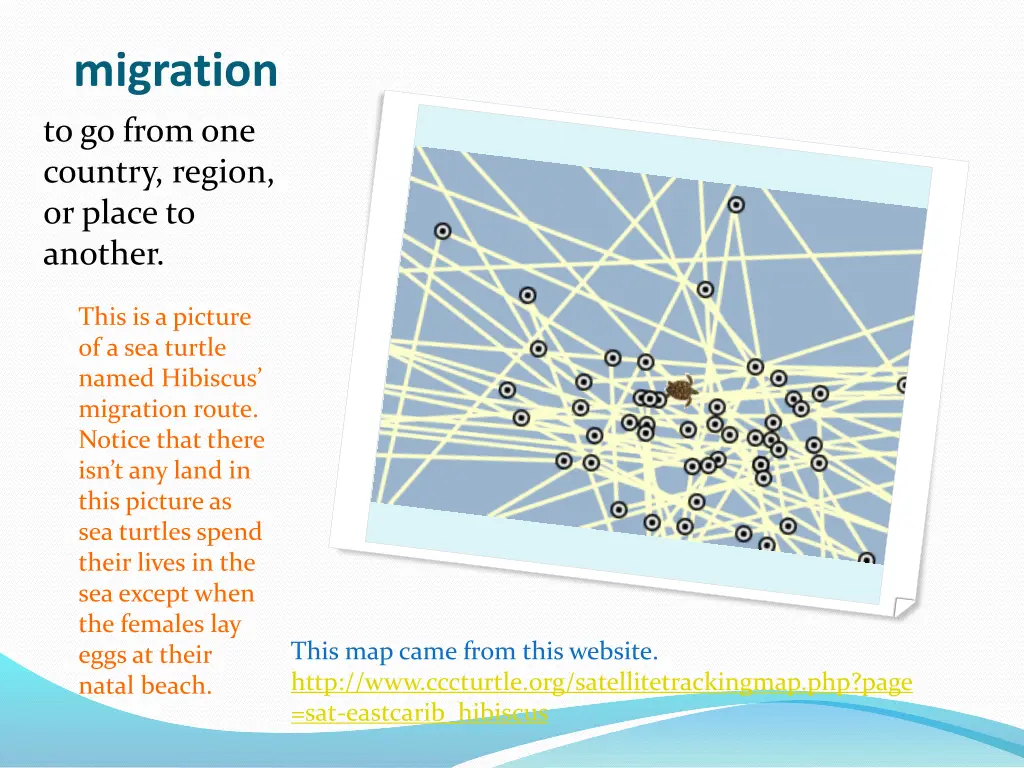 migration