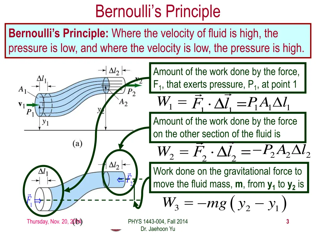 bernoulli s principle