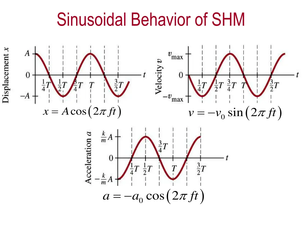 sinusoidal behavior of shm