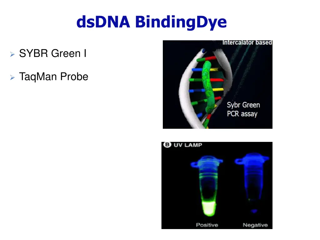 dsdna bindingdye
