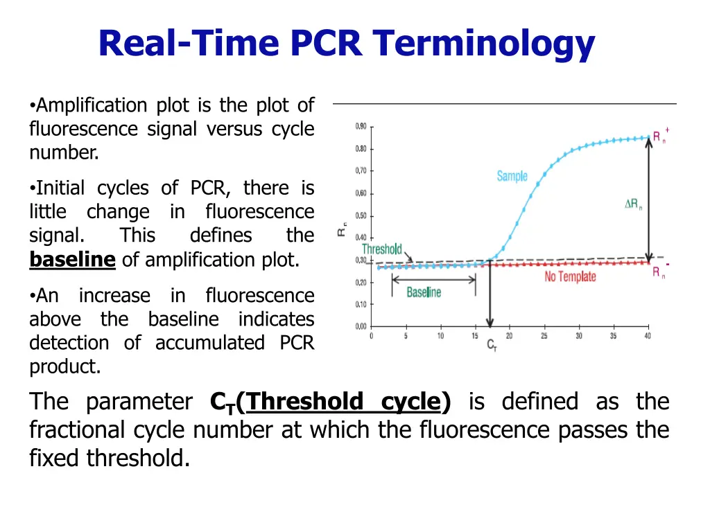 real time pcr terminology
