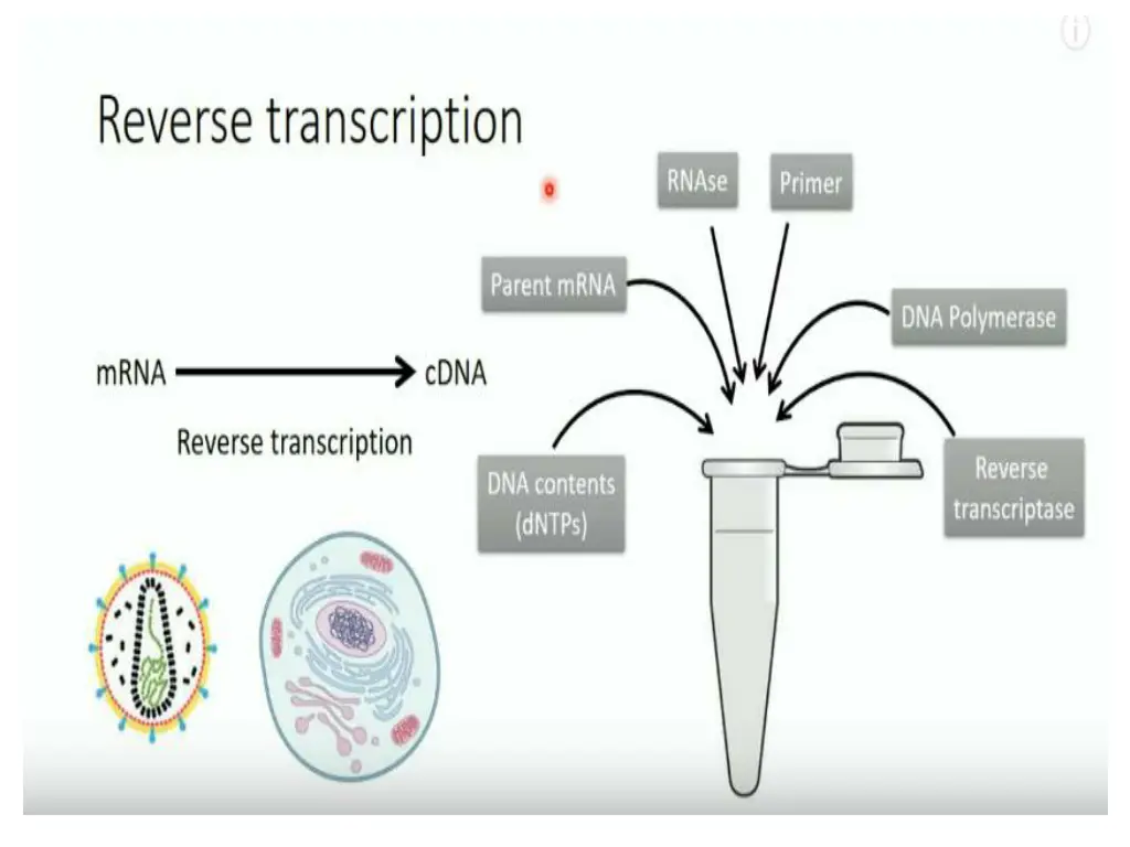 slide15