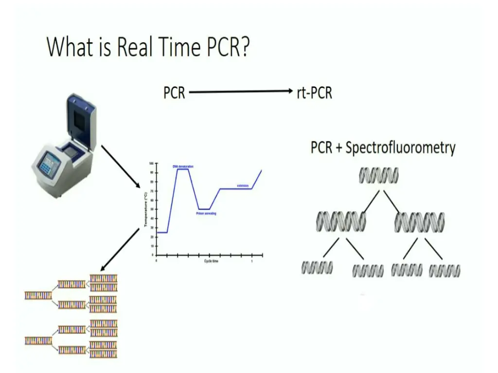 slide2