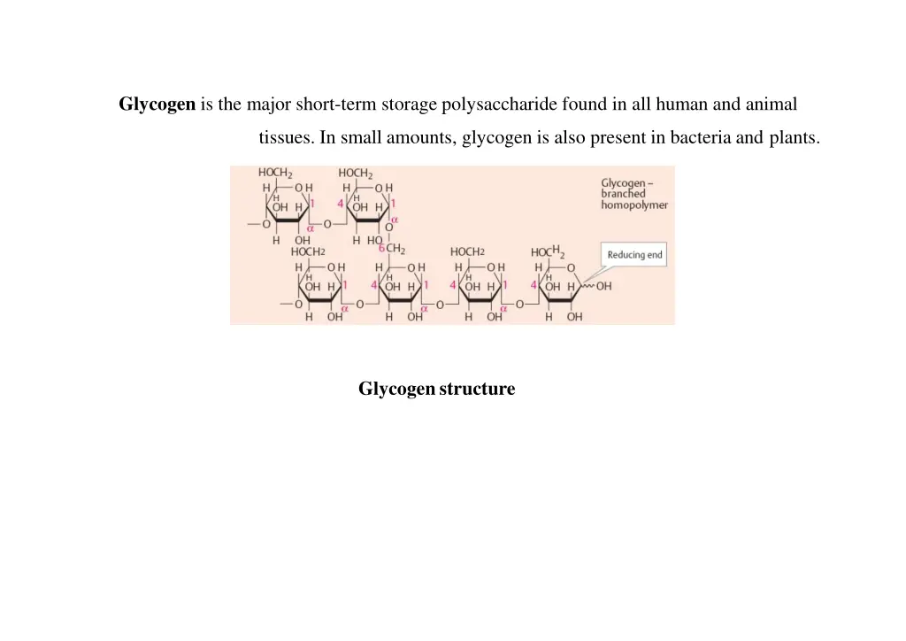 glycogen is the major short term storage