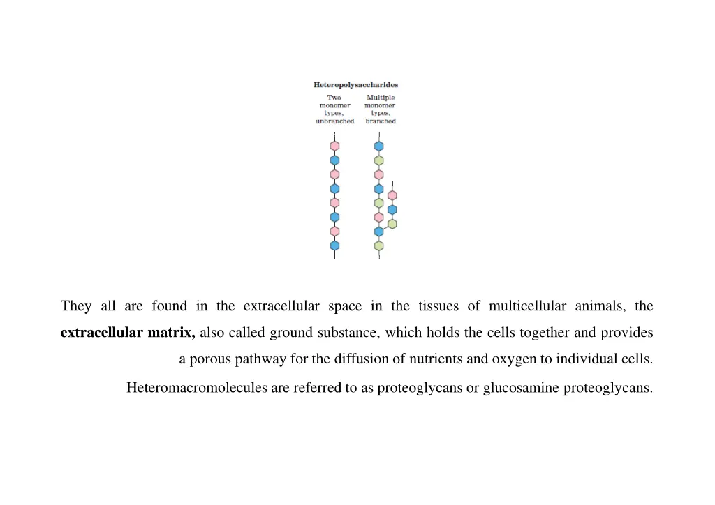 they all are found in the extracellular space