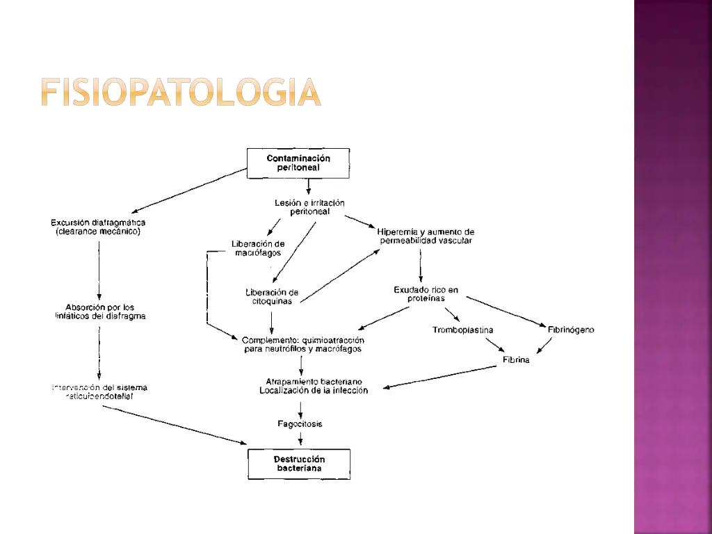 fisiopatologia