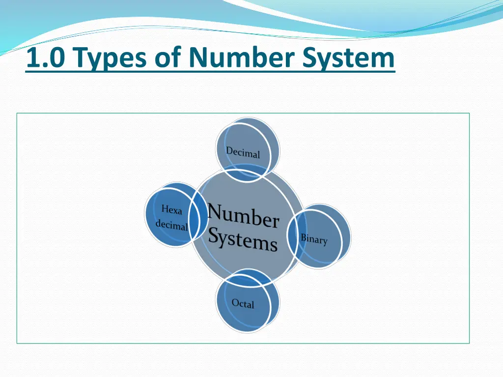 1 0 types of number system