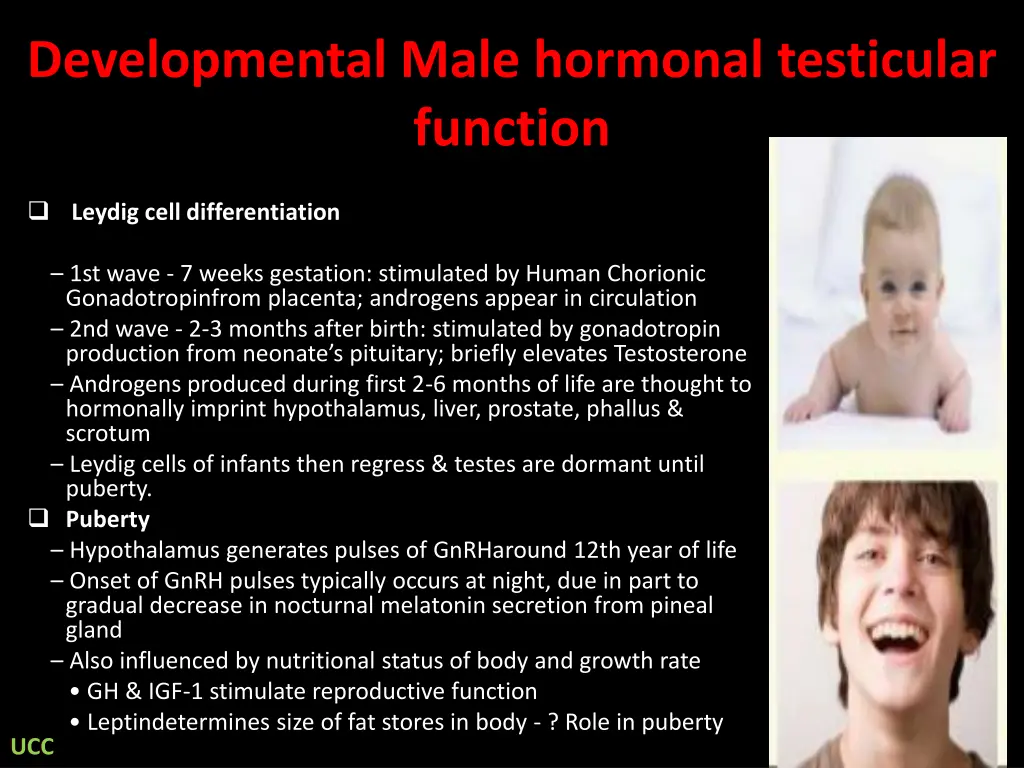 developmental male hormonal testicular function