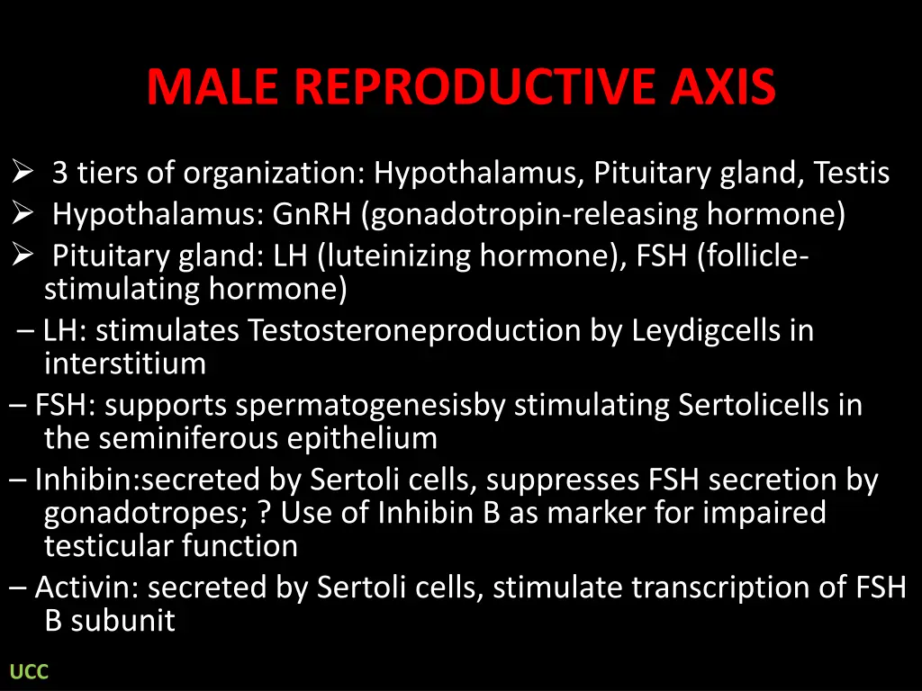 male reproductive axis