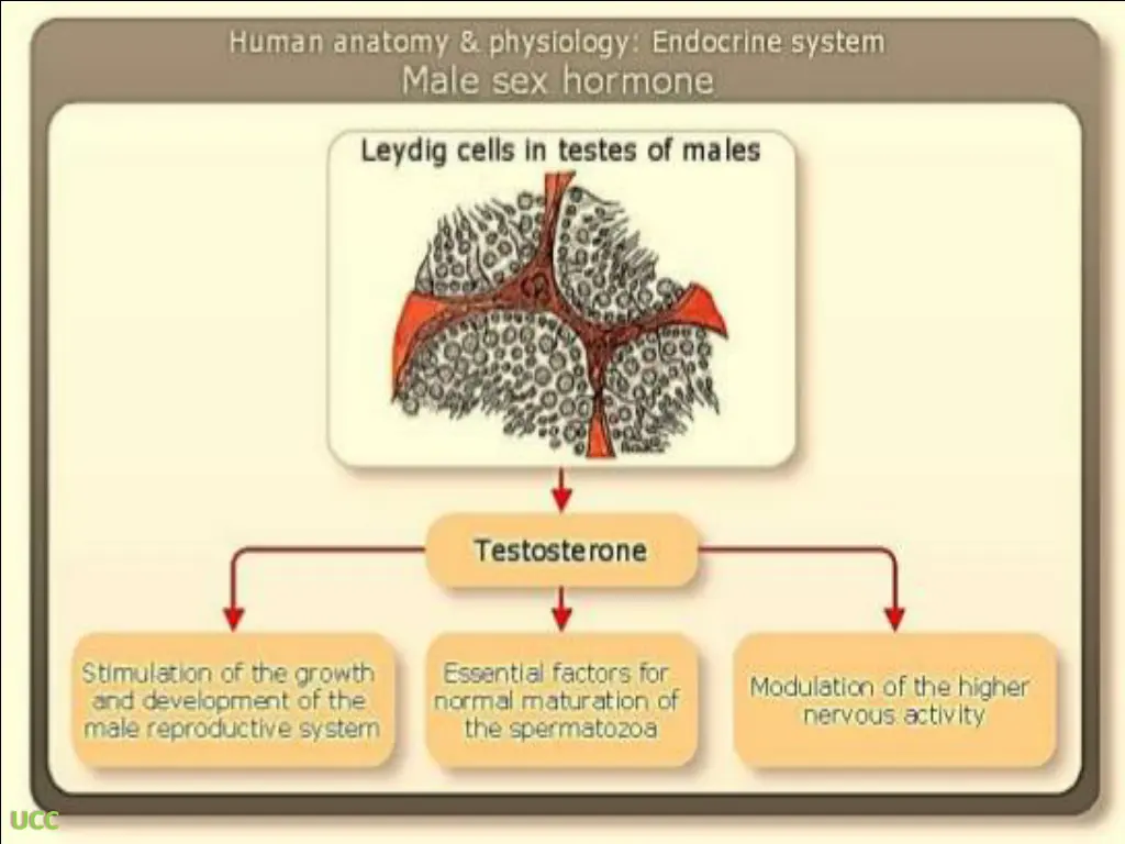 slide12