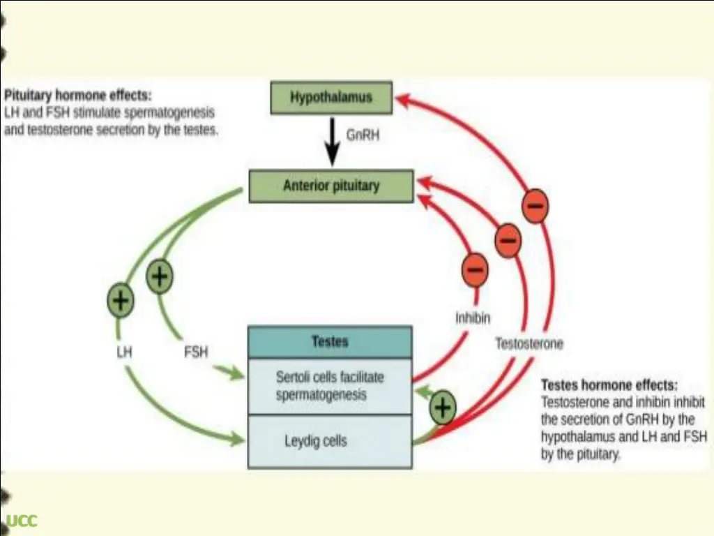 slide16