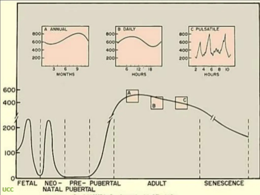 slide27