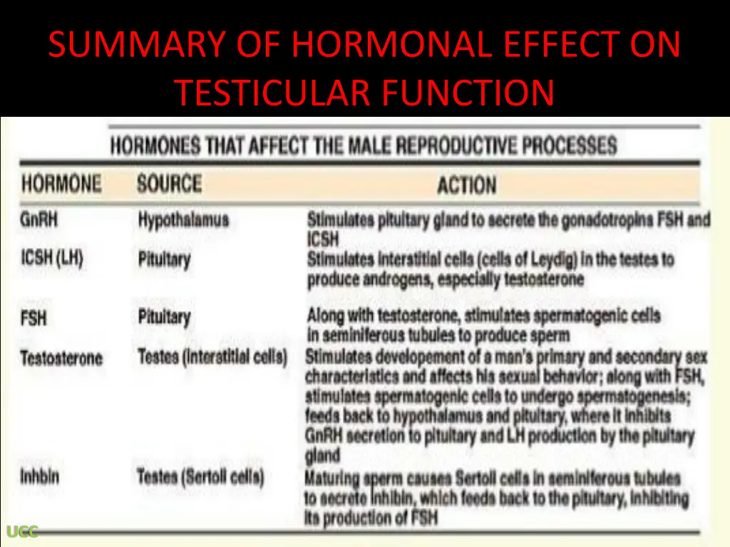 summary of hormonal effect on testicular function