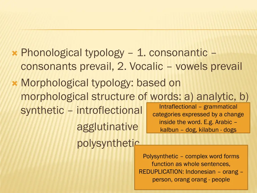 phonological typology 1 consonantic consonants