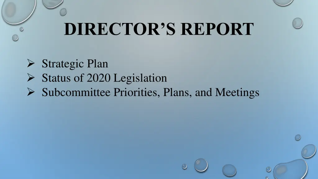 director s report