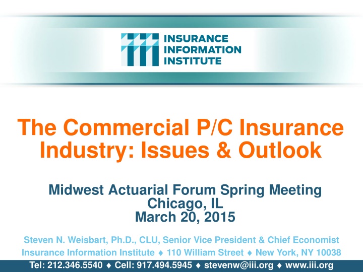 the commercial p c insurance industry issues