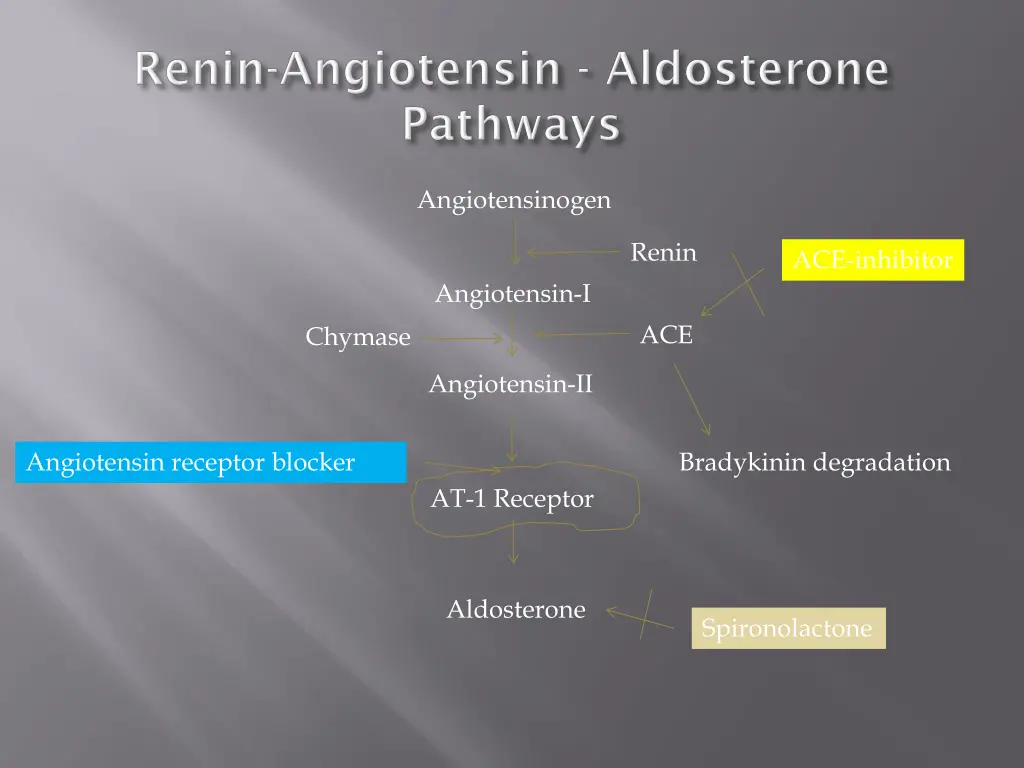 angiotensinogen