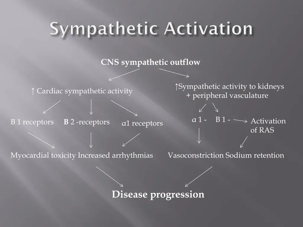 cns sympathetic outflow