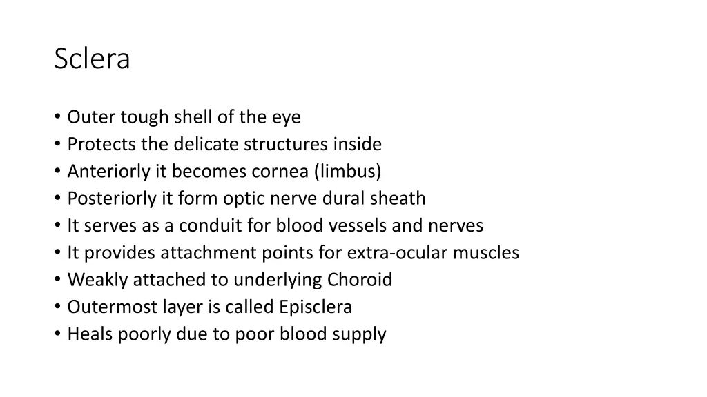sclera