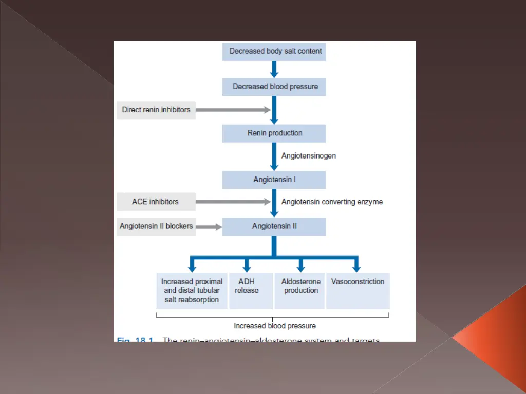 slide10