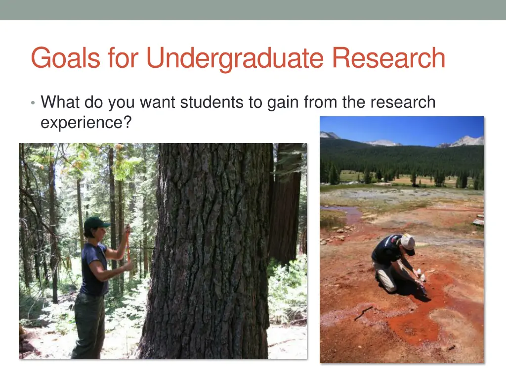goals for undergraduate research