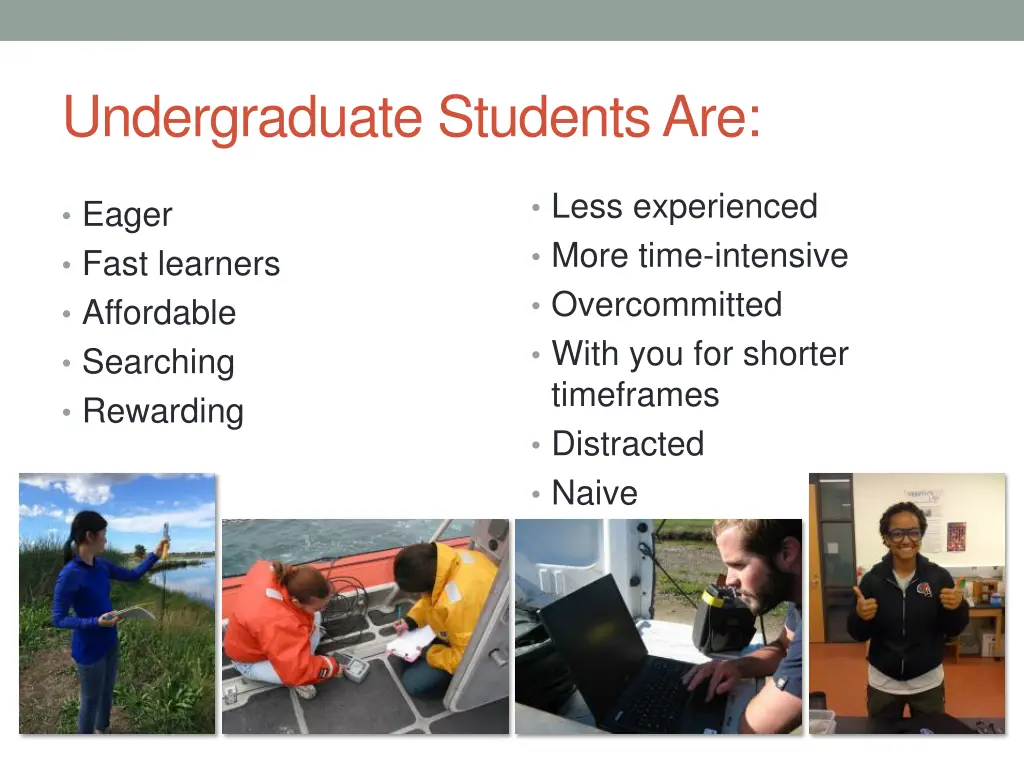 undergraduate students are