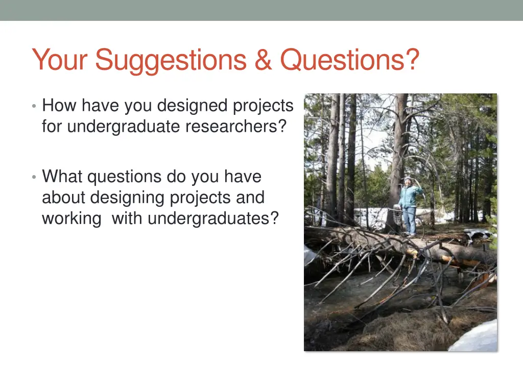 your suggestions questions