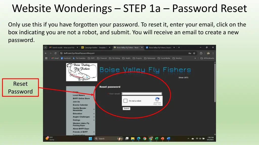 website wonderings step 1a password reset