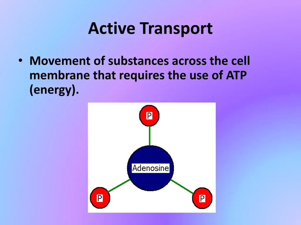 active transport