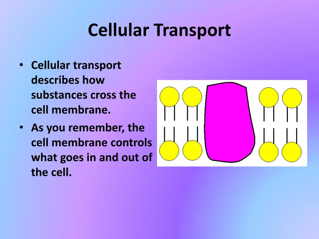 cellular transport