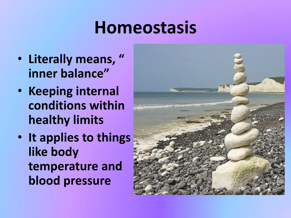homeostasis