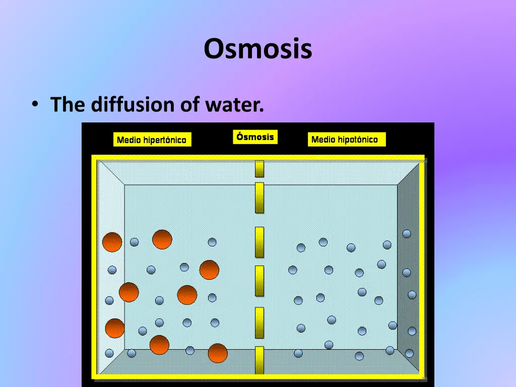 osmosis