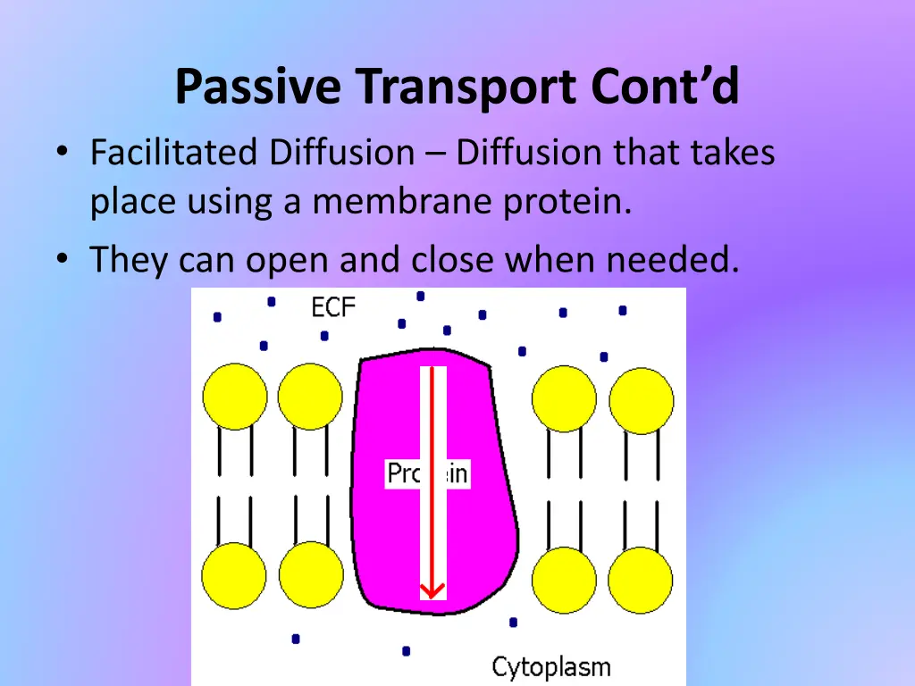 passive transport cont d facilitated diffusion