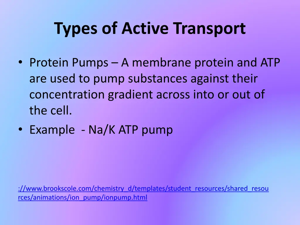 types of active transport