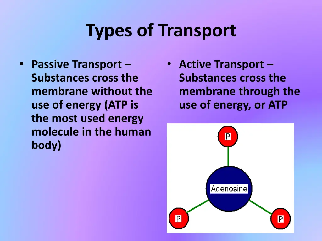 types of transport