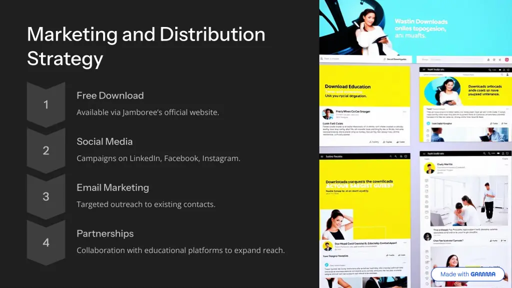 marketing and distribution strategy