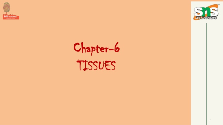 chapter chapter 6 6 tissues tissues