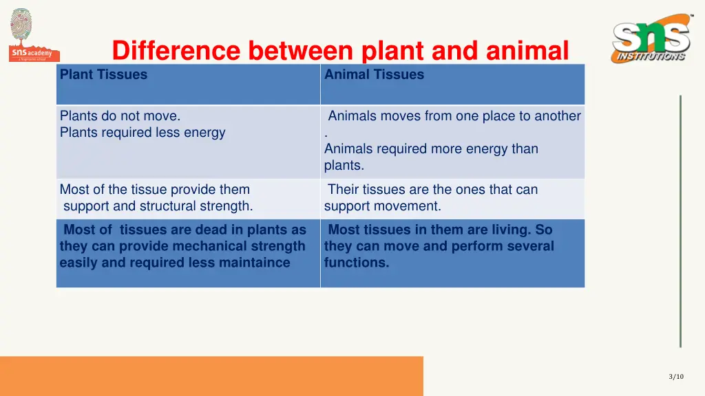 difference between plant and animal tissues