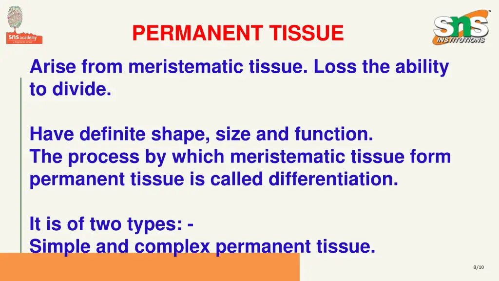 permanent tissue