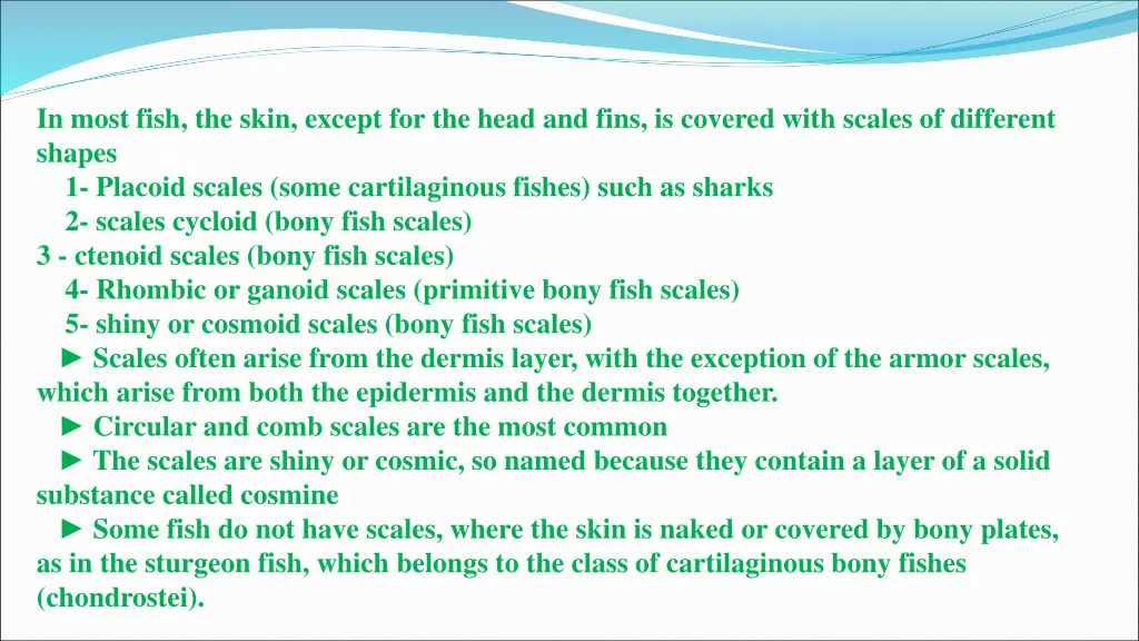 in most fish the skin except for the head