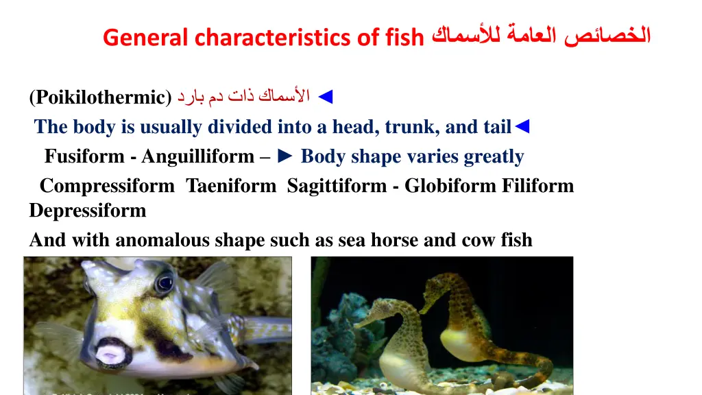 slide3